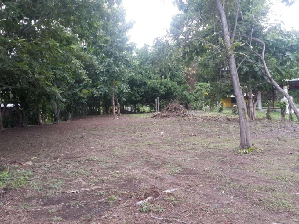 TERRENO EN BEJUCO DE 1460m2 — foto 2