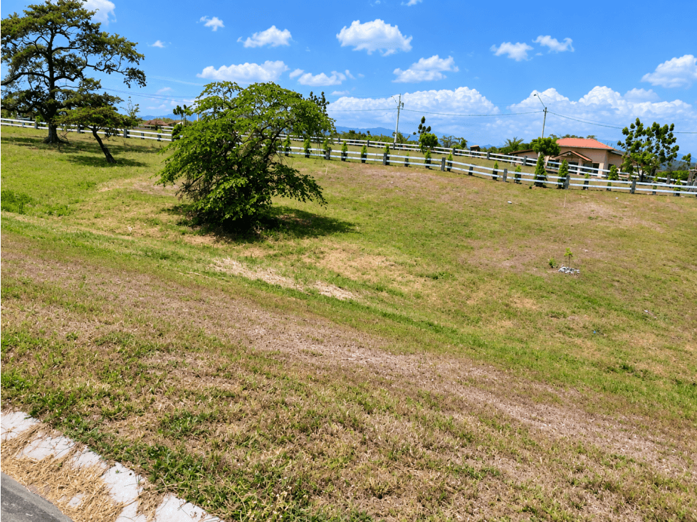 VENTA LOTE CHAME 1,232.22 m² DE TERRENO PLANO CON PISCINA CV — foto 5