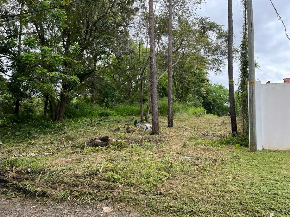 TERRENO EN BEJUCO DE 1460m2 — foto 3