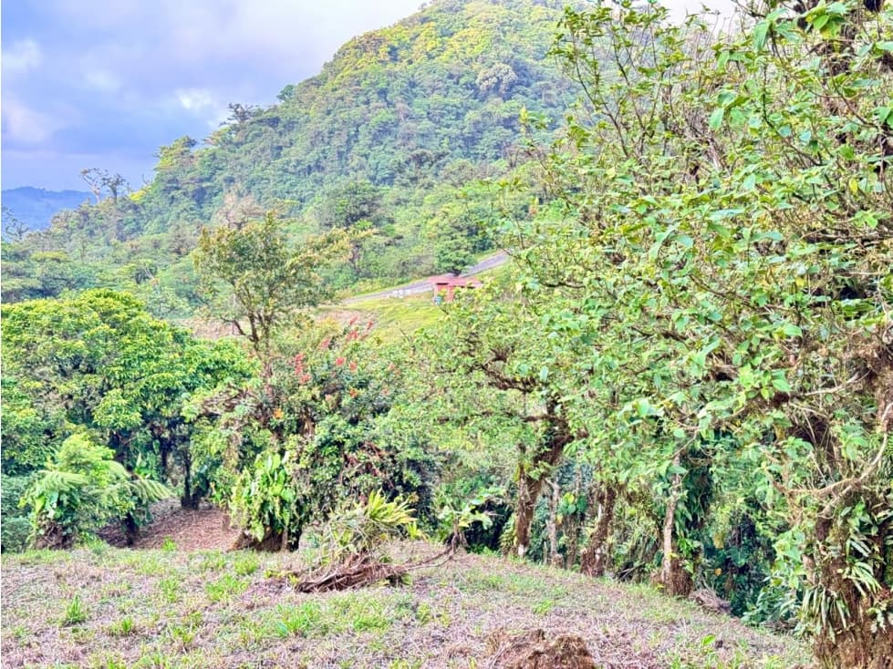 VENTA LOTE ALTOS DEL MARIA 4,241m² BOSQUES DE GALICIA CV — foto 6