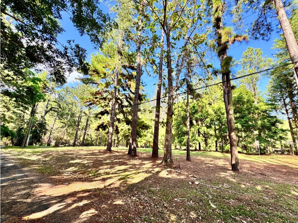 VENTA DE TERRENO EN ALTOS DEL MARIA 1604M2 CV — foto 5