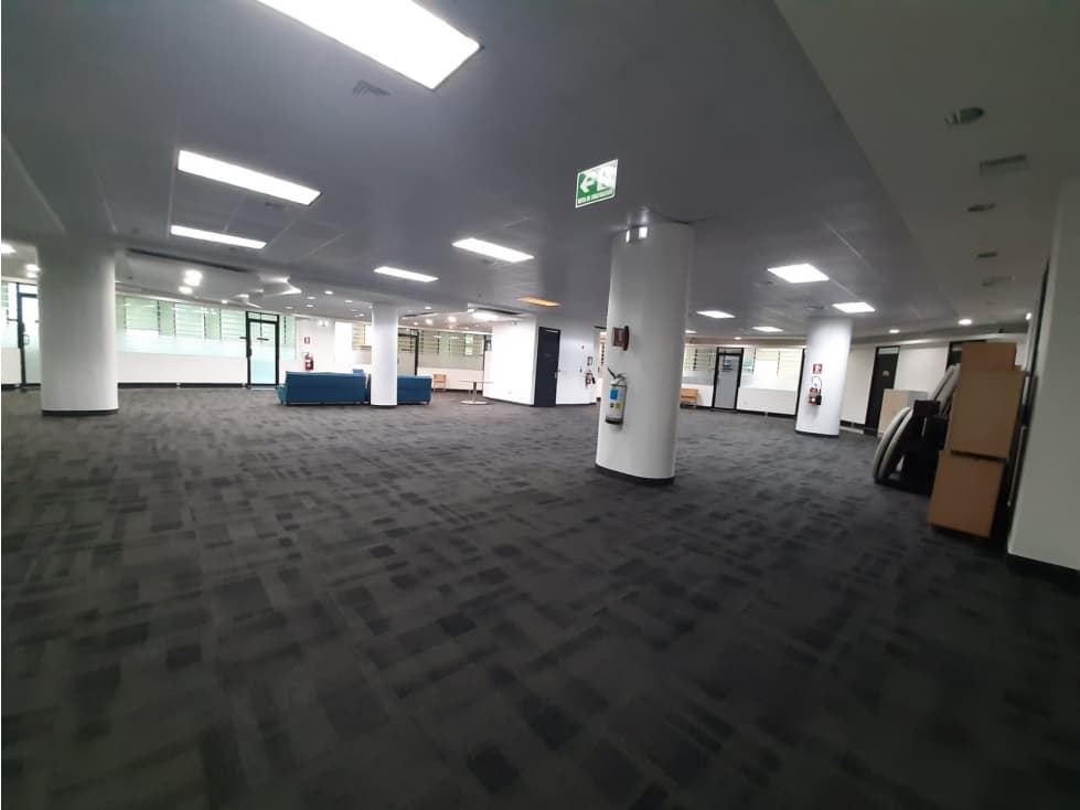 OFICINA REMODELADA Y EQUIPADA 715 M2 PLAZA GLOBUS, SAMUEL LEWIS — foto 6
