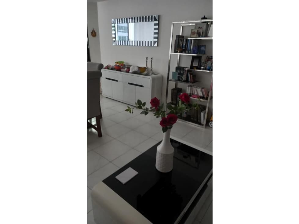 VENDO APARTAMENTO PUNTA PAITILLA PH VIZCAYA — foto 5