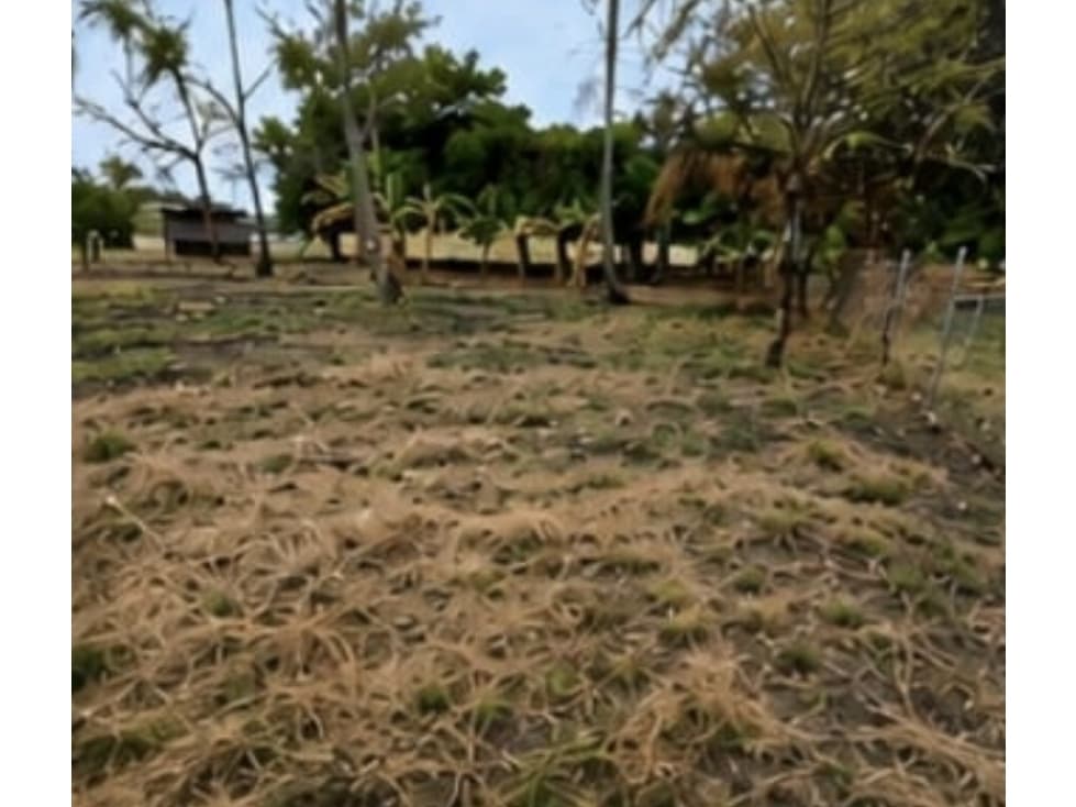Venta de Terreno | Coloncito Chame — foto 2