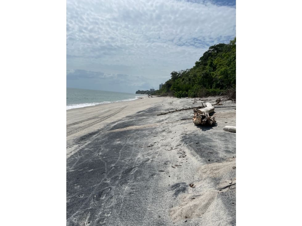 Se vende terreno de playa en San Carlos — foto 5