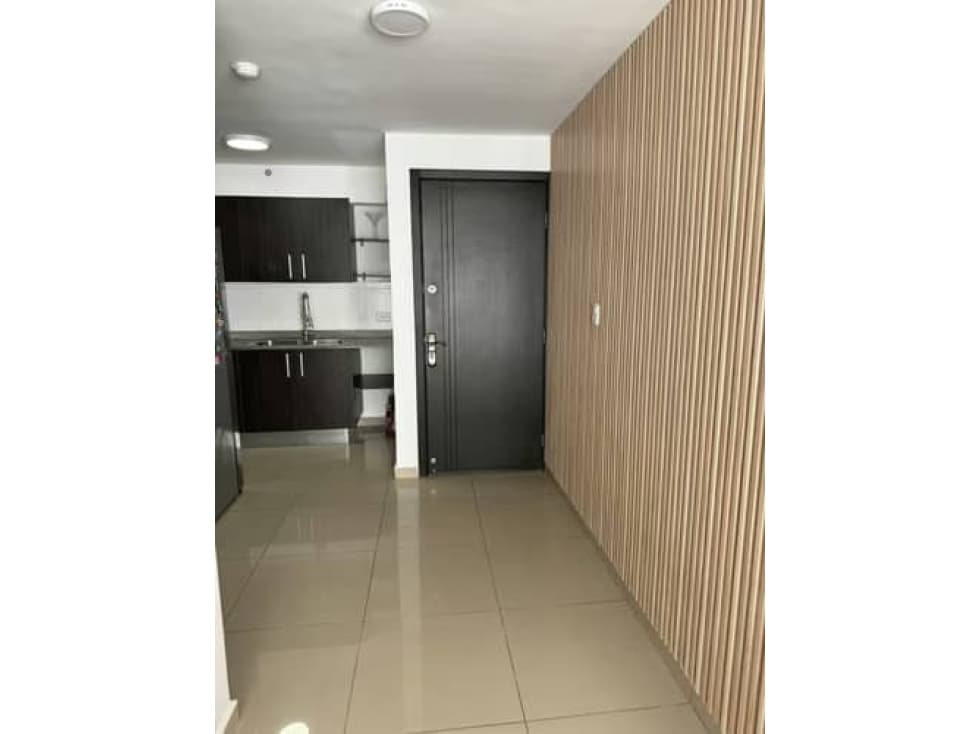 APARTAMENTO EN VENTA PH SKY PARK — foto 4