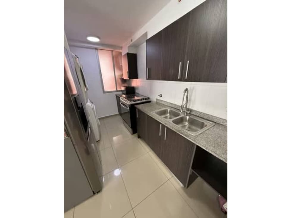 APARTAMENTO EN VENTA PH SKY PARK — foto 5
