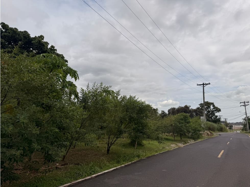 TERRENO EN VIA TOCUMEN DETRAS DE LA DOÑA — foto 3