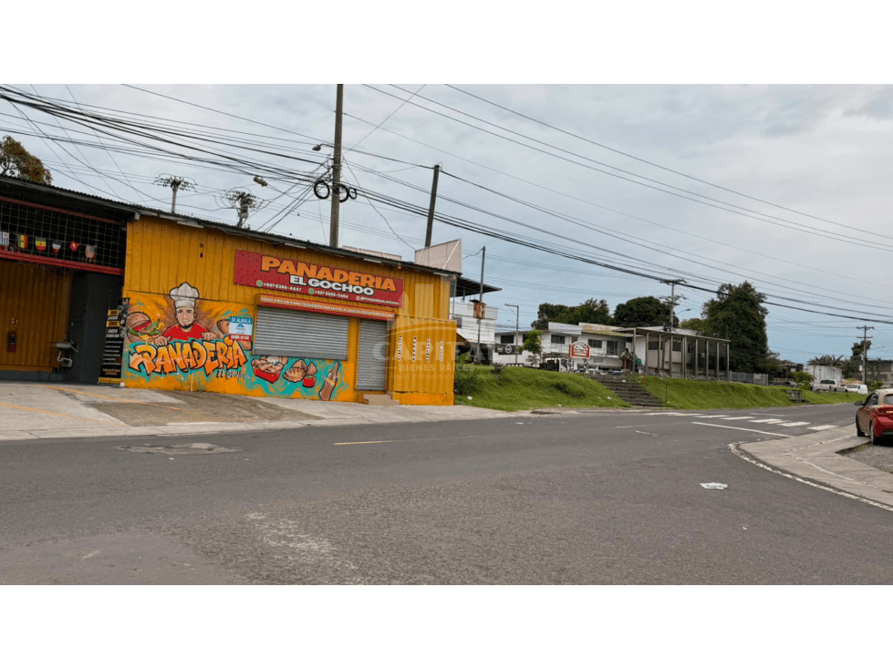 LOCAL COMERCIAL EN ALQUILER EN LLANO BONITO — foto 5