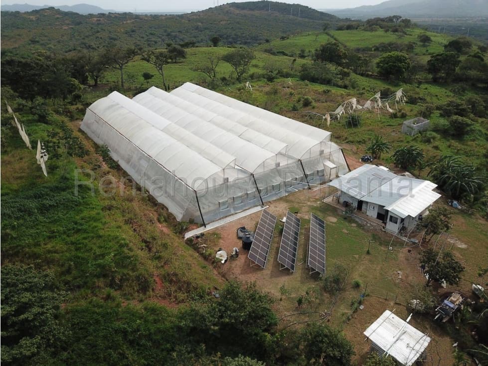 VENDO FINCA EN CHAME — foto 1