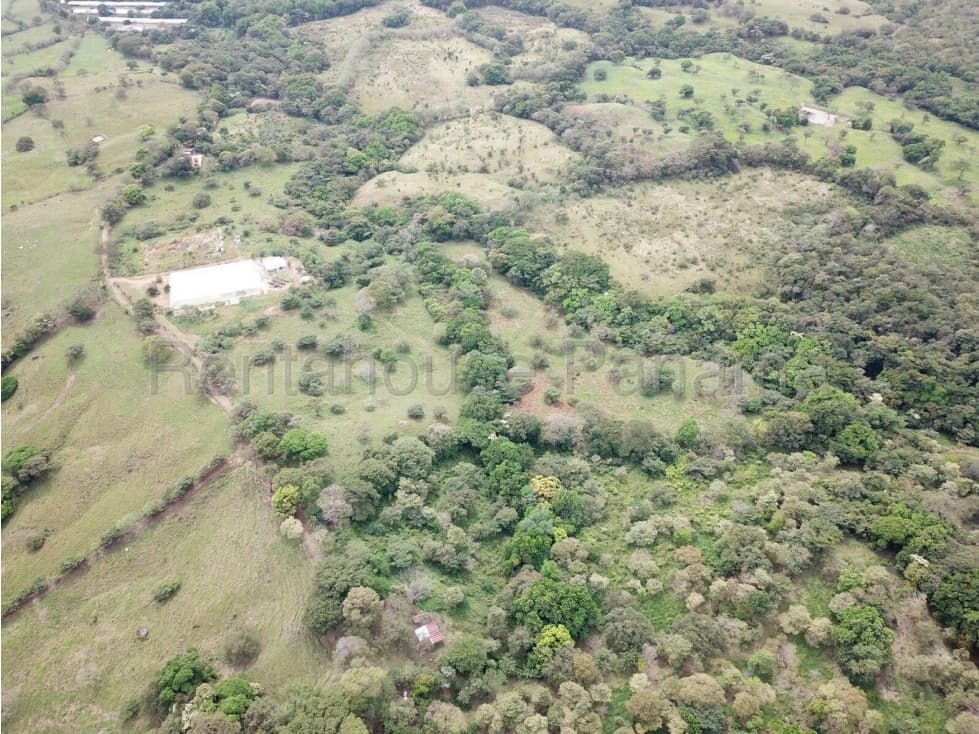 VENDO FINCA EN CHAME — foto 4