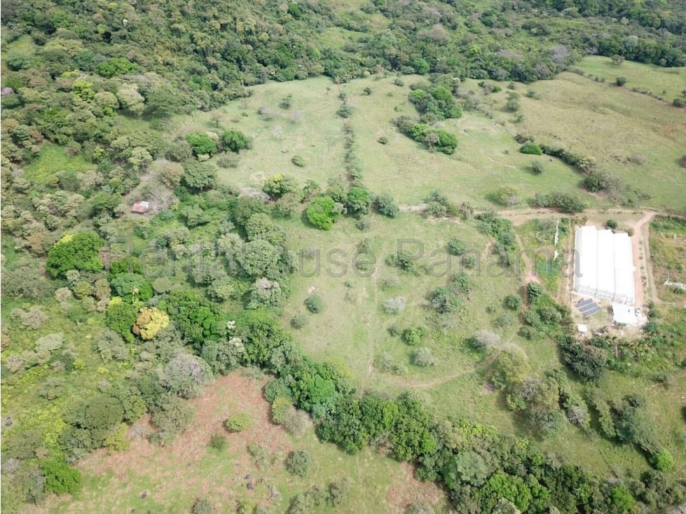 VENDO FINCA EN CHAME — foto 6