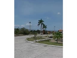 VENDO TERRENO DE 50 HECTÁREAS EN NUEVA GORGONA PARA DESARROLLO