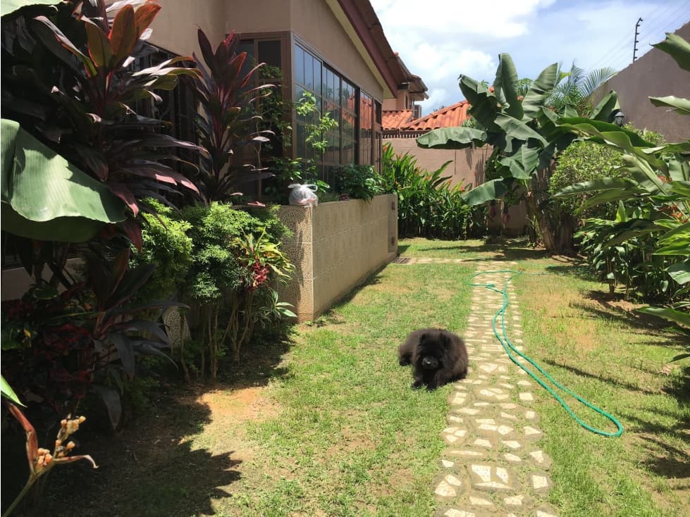 Venta Casa en Versalles — foto 6
