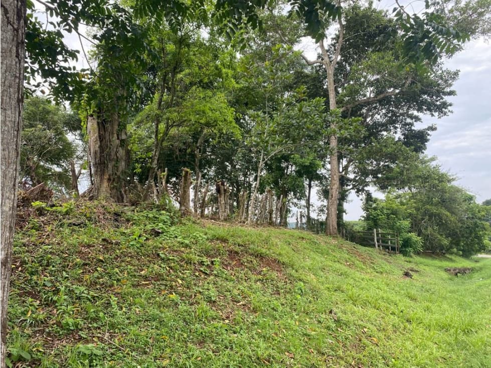 VENTA DE TERRENO EN PANAMA OESTE — foto 1