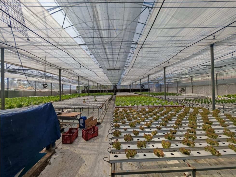 Terreno en venta de 1200m2 en Juan Díaz, Panamá (MFV) — foto 1