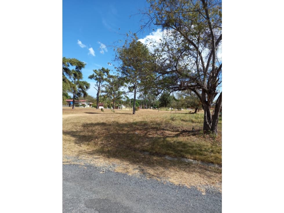 VENTA DE TERRENO EN CORONADO — foto 5