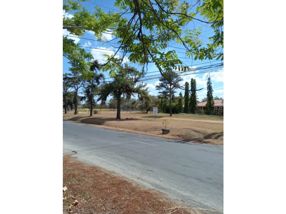 VENTA DE TERRENO EN CORONADO — foto 6