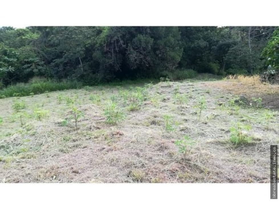 VENTA FINCA PLAYA CORONA SAN CARLOS — foto 2