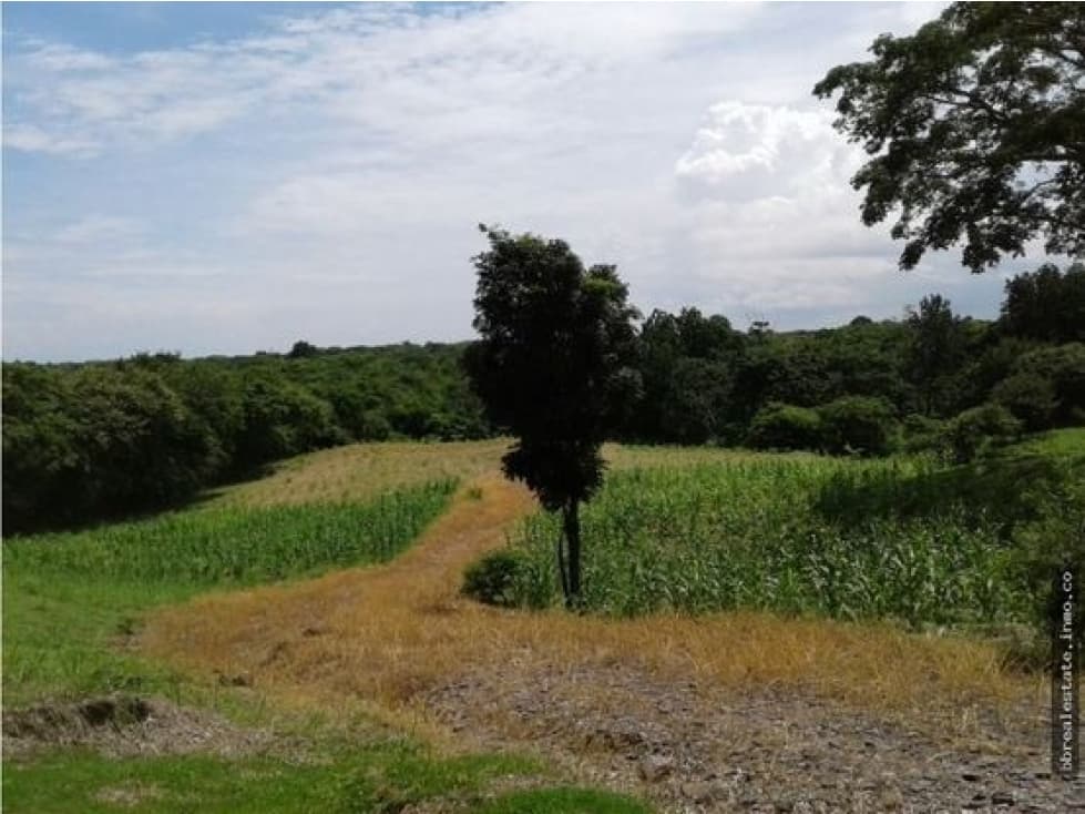 VENTA FINCA PLAYA CORONA SAN CARLOS — foto 4