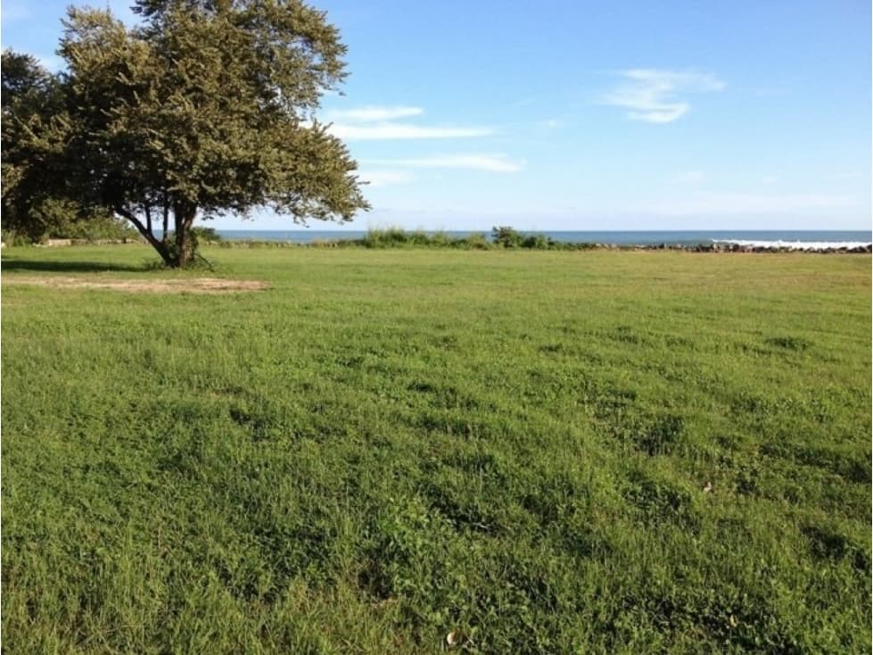 VENTA TERRENO BEACHFRONT SAN CARLOS — foto 4