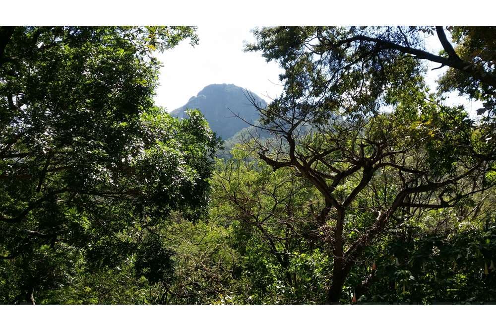Altos del Maria House for Sale — foto 4