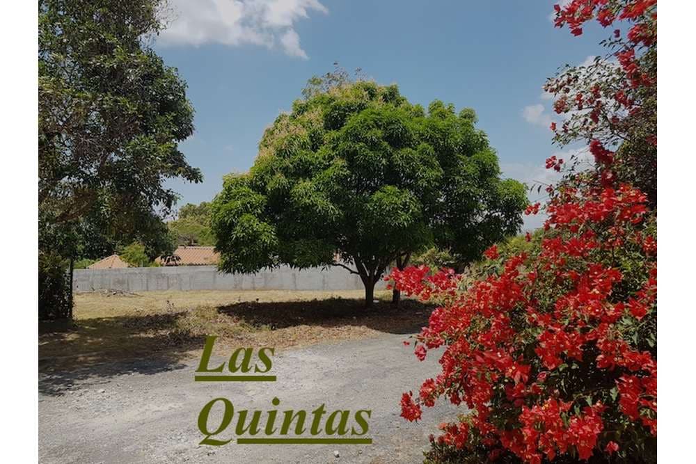 LAND IN UPPER CLASS BEACH NEIGHBORHOOD — foto 1
