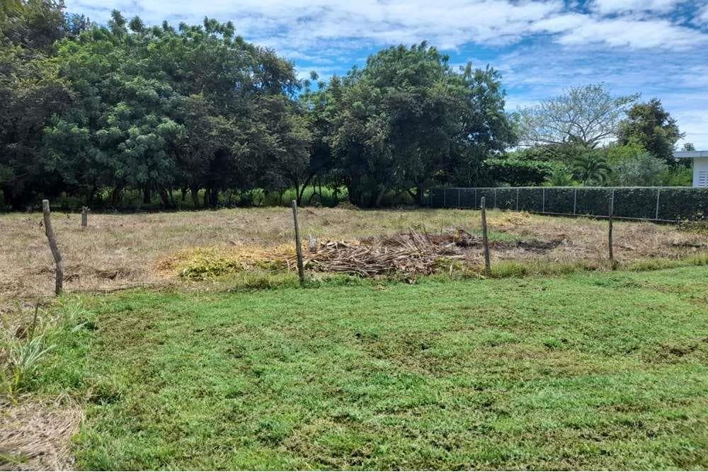 Ready to Build Land in Nueva Gorgona!! — foto 3