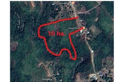 Venta! 10 Hectarias! Perfecto para Proyecto de casas Camino a El Valle