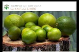 SIMPLY NATURAL FARMS, oportunidad de INVERSI?ìN sustentable, lotes des