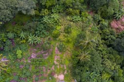 Lote titulado en International Highland Community Panama
