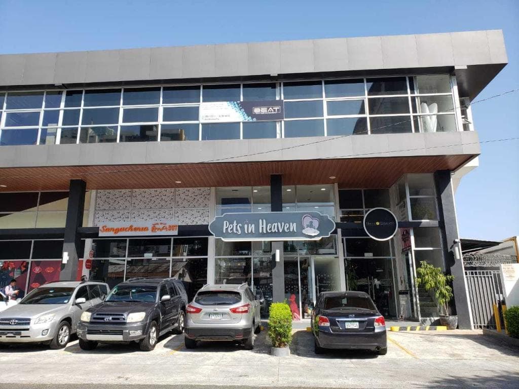 Comercial en Venta San Francisco RAH PA: 20-3536 — foto 2