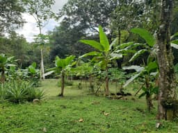 Terreno en Venta Las Mananitas RAH PA: 20-9