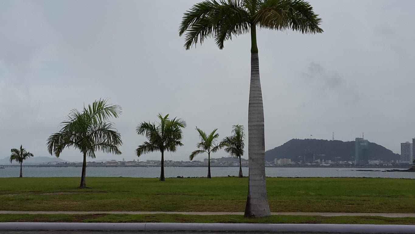 Terreno en Venta Punta Pacifica RAH PA: 20-1698 — foto 6