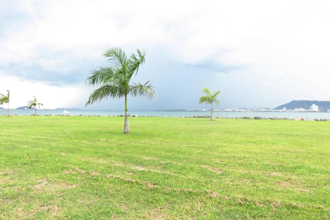 Terreno en Venta Punta Pacifica RAH PA: 20-3063 — foto 4