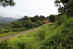 Terreno en Venta Sora(Chame) RAH PA: 20-3574