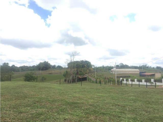 VENTA DE TERRENO EN EL ESPINO, CHORRERA