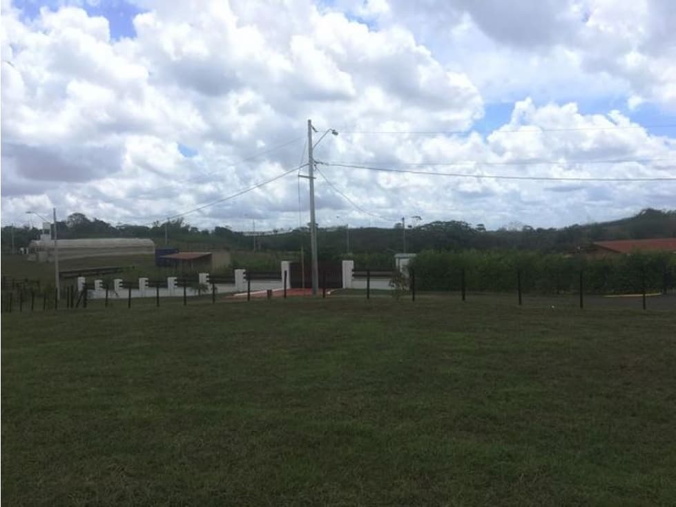 VENTA DE TERRENO EN EL ESPINO, CHORRERA — foto 3