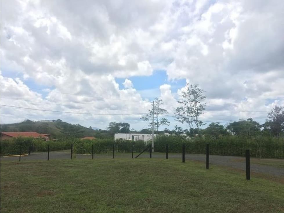 VENTA DE TERRENO EN EL ESPINO, CHORRERA — foto 4