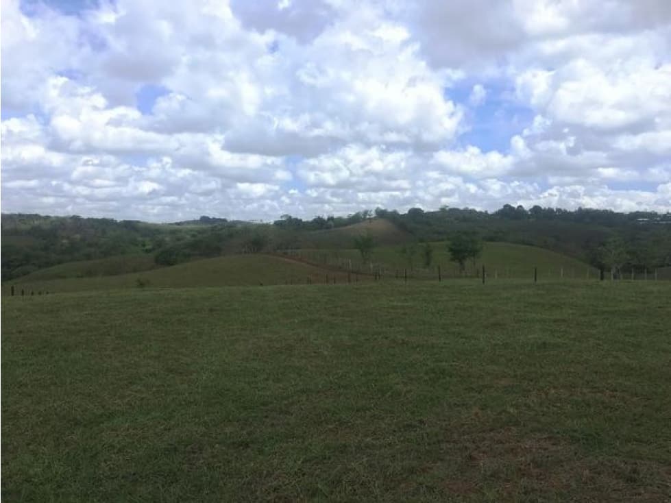 VENTA DE TERRENO EN EL ESPINO, CHORRERA — foto 5