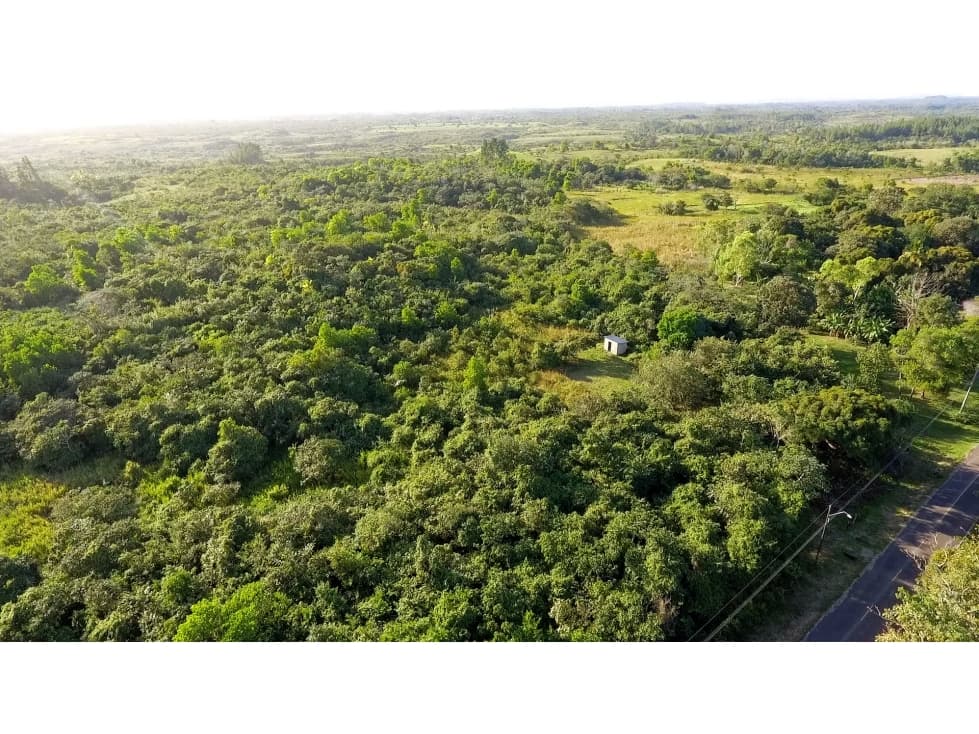 VENTA DE FINCA EN ANTON COCLE — foto 2