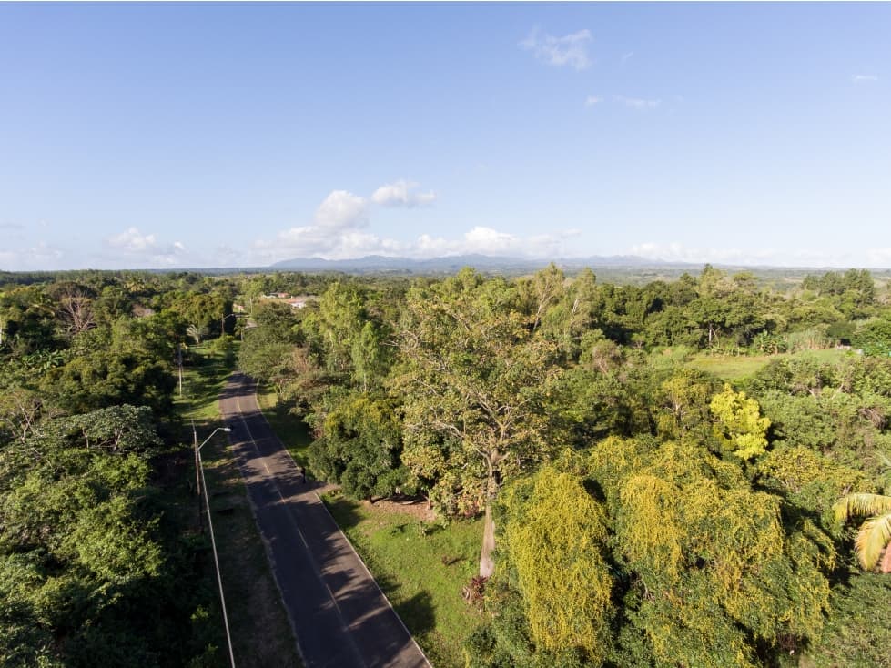 VENTA DE FINCA EN ANTON COCLE — foto 3