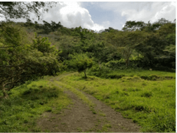 SE VENDE FINCA EN SORA 5120DM