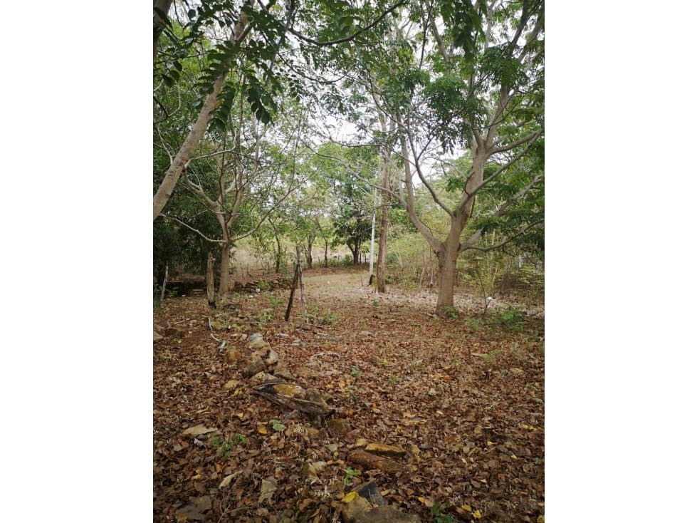 SE VENDE TERRENO EN CHAME — foto 2