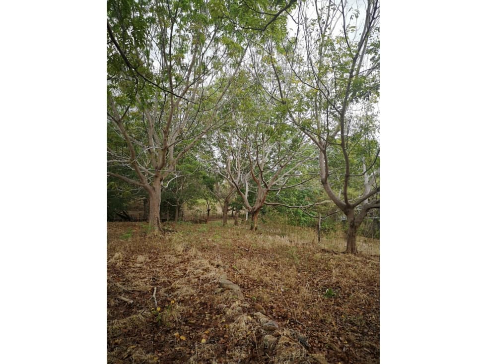 SE VENDE TERRENO EN CHAME — foto 3