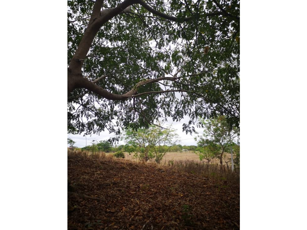 SE VENDE TERRENO EN CHAME — foto 4