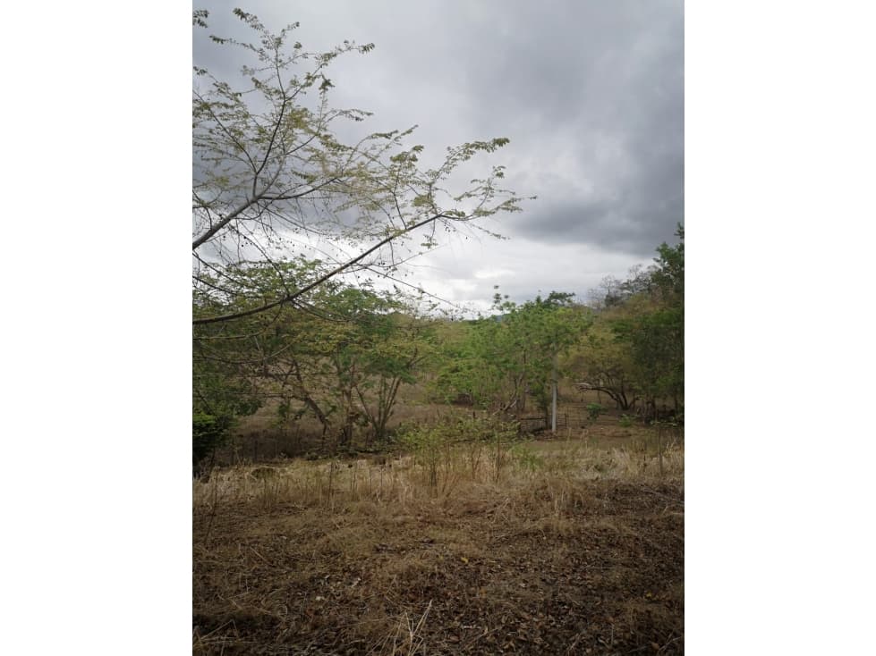 SE VENDE TERRENO EN CHAME — foto 6