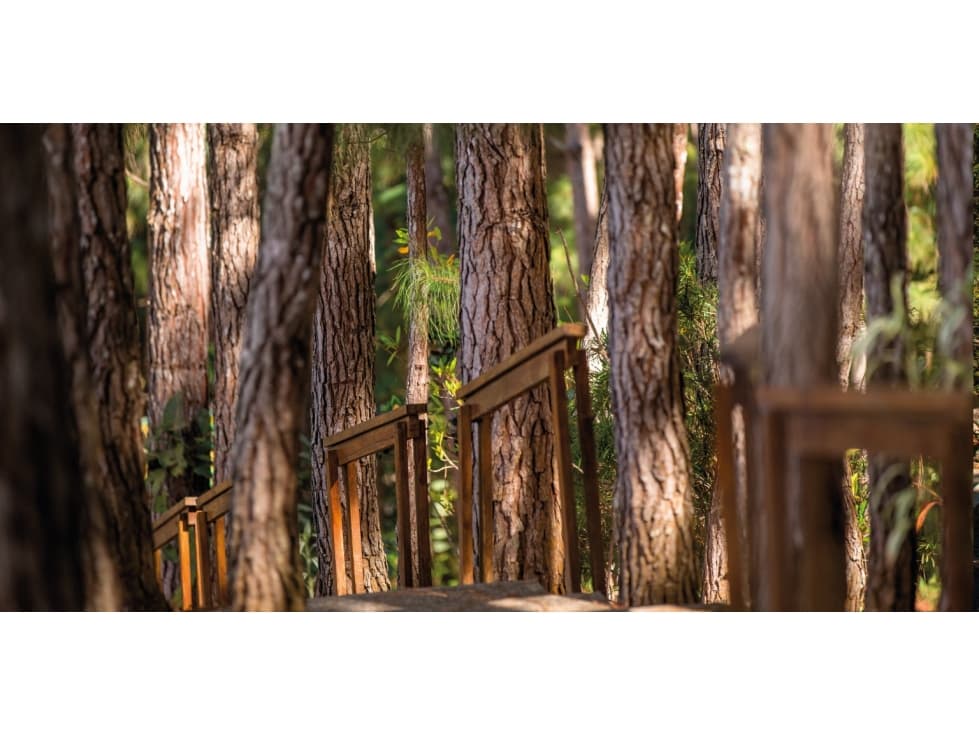 Exclusiva Casa de montaña en Altos del María — foto 6