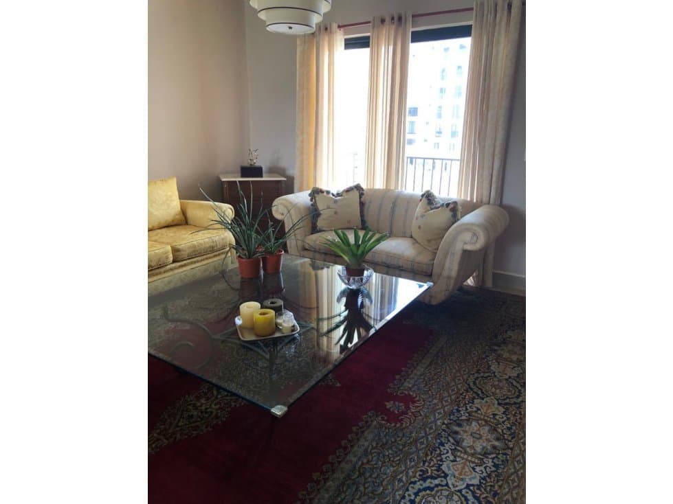 APARTAMENTO AMOBLADO EN PH EMBASSY VILLAGE 220 MTS2 — foto 2