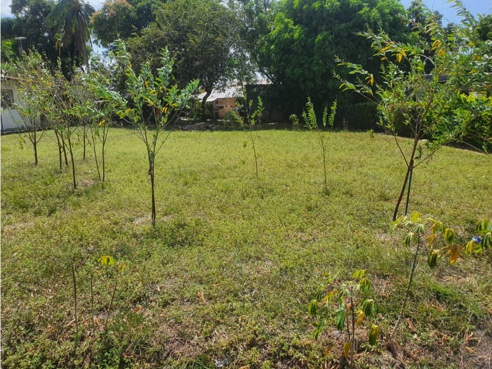 TERRENO EN BEJUCO DE CHAME — foto 1